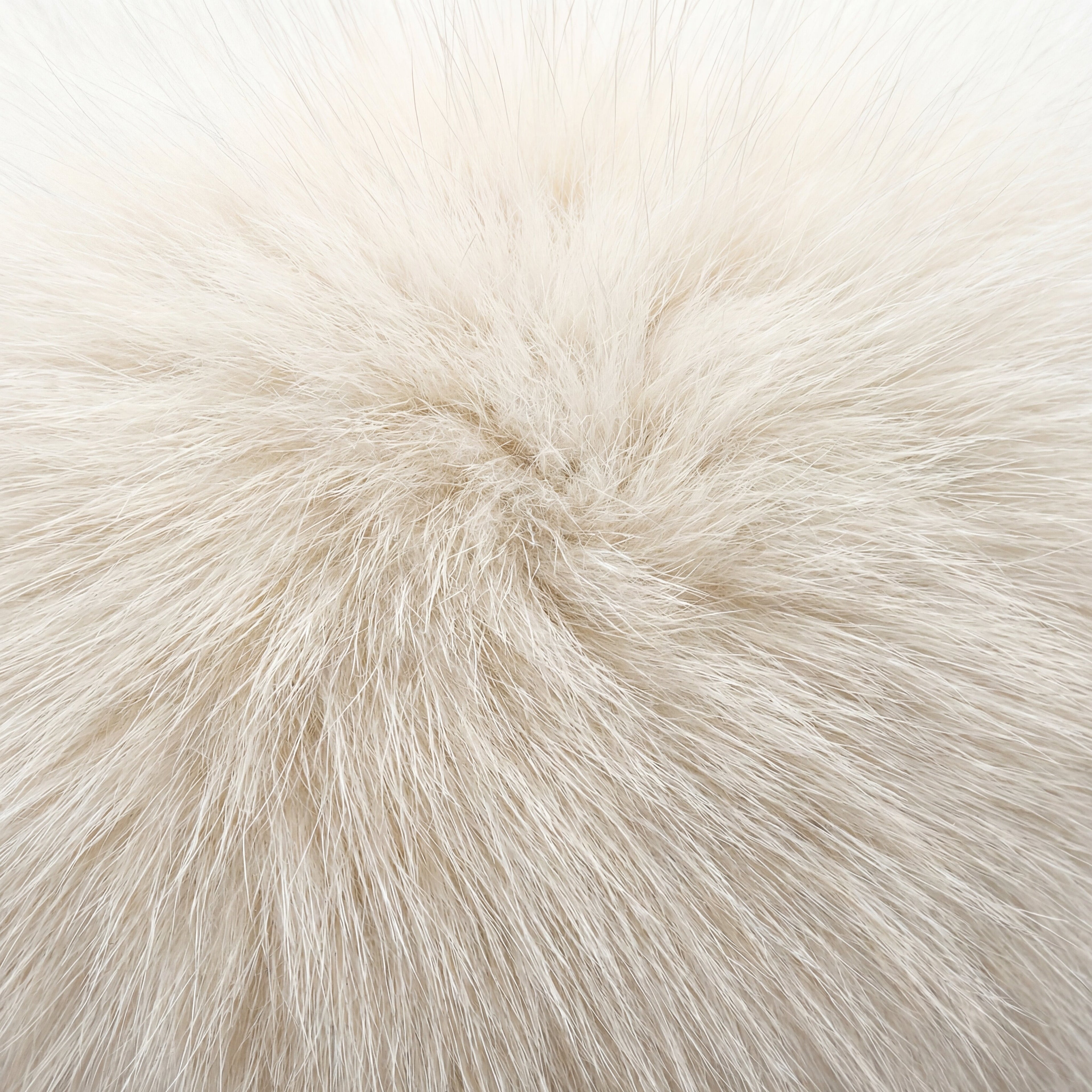 Arctic Fox Fur