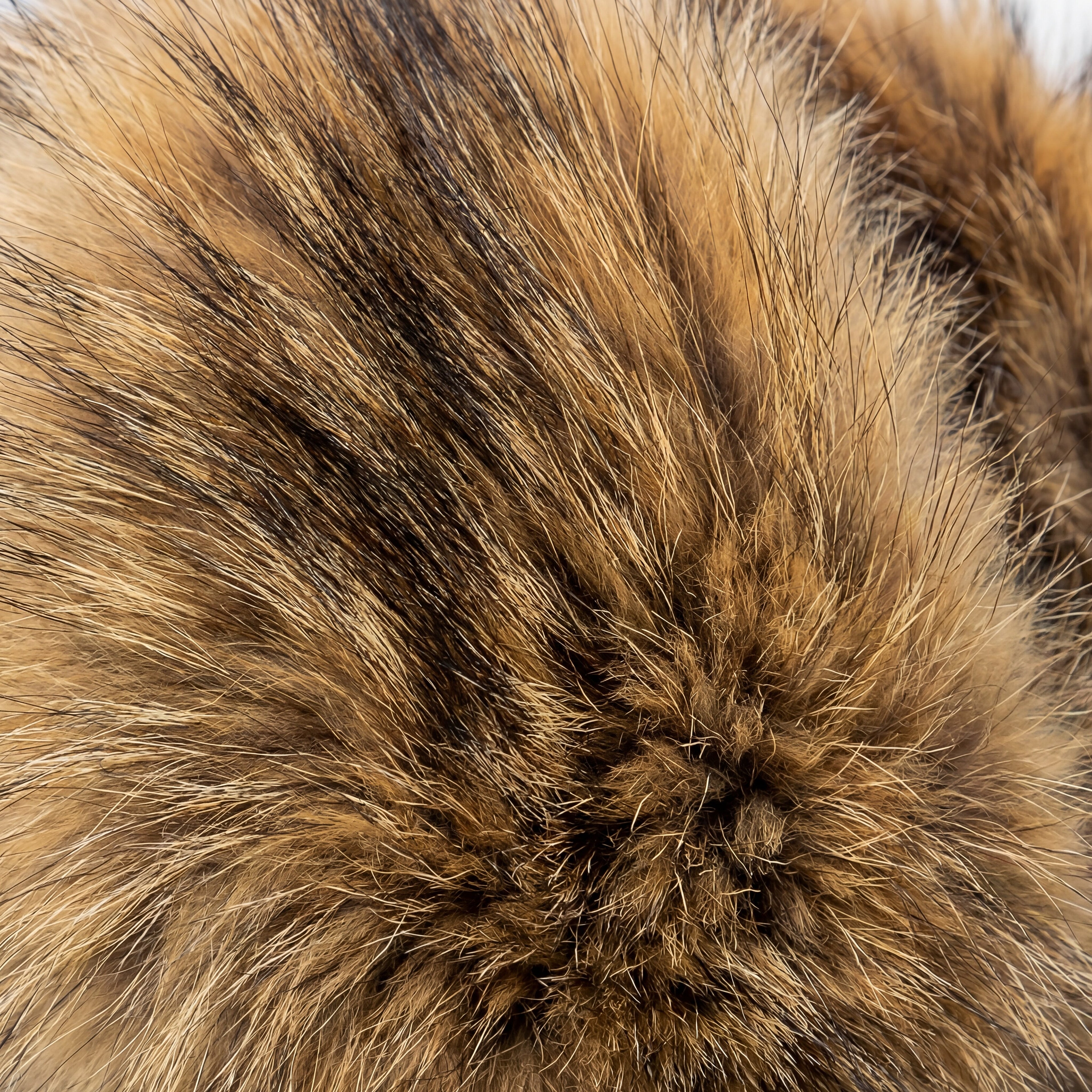 Badger Fur