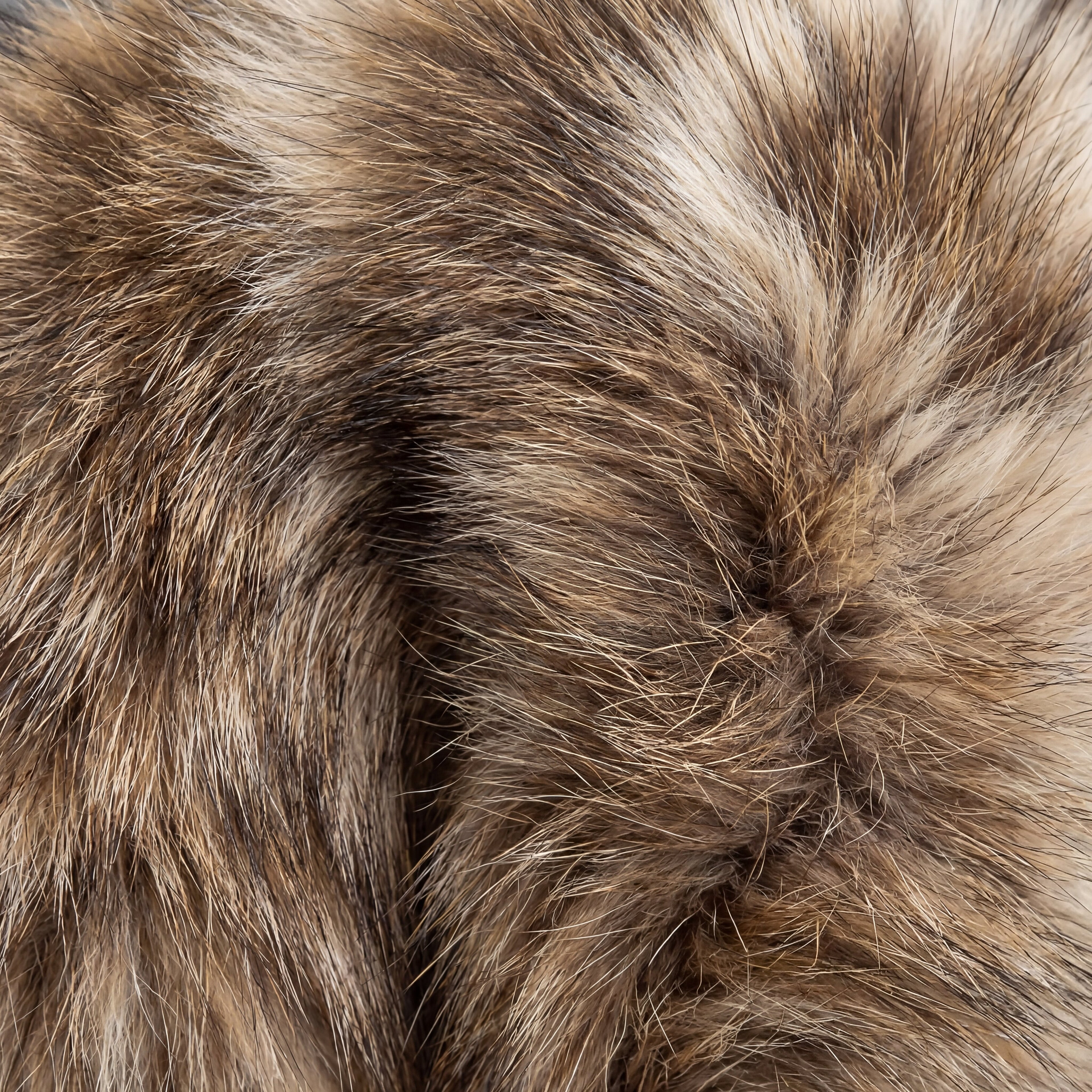Bobcat Fur