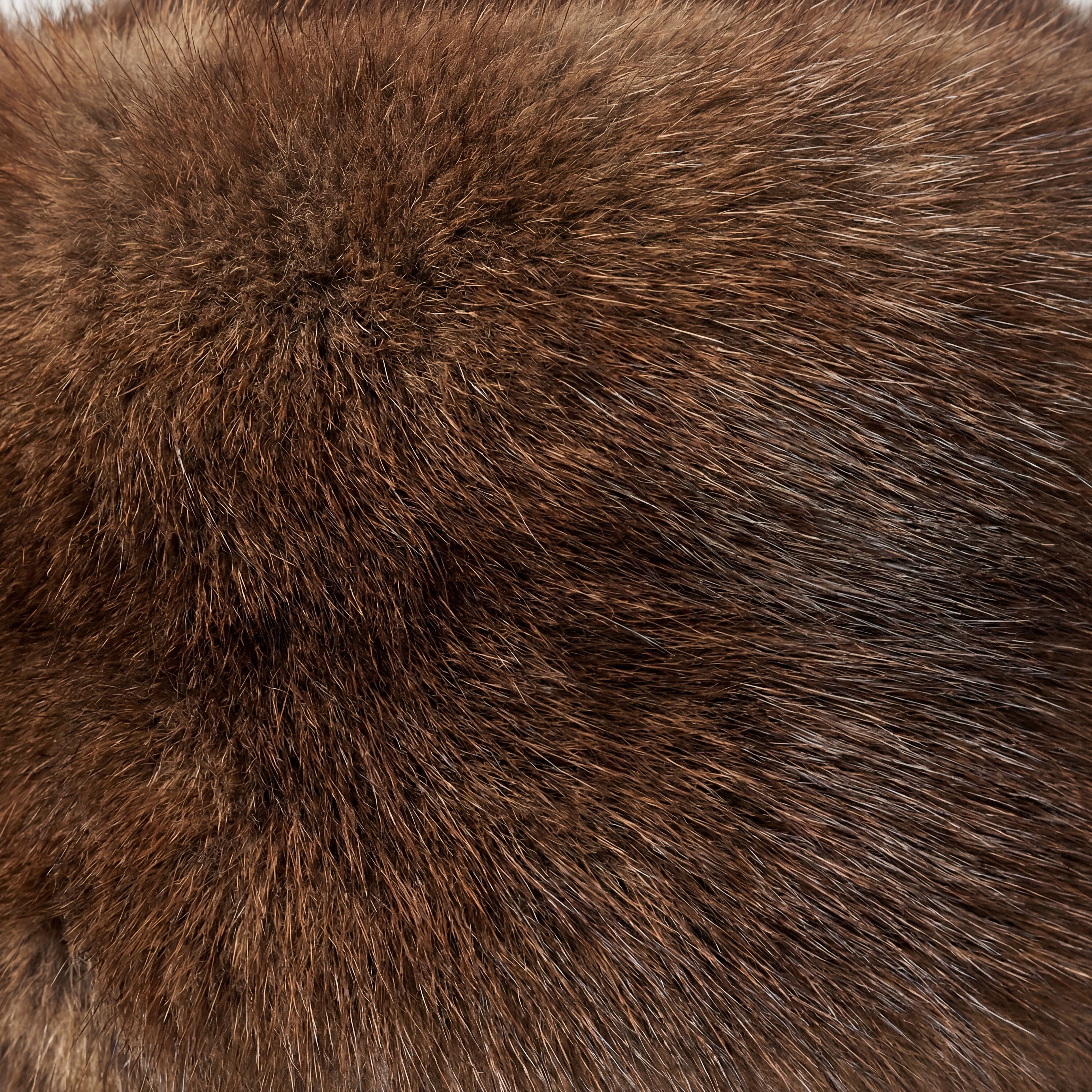 Muskrat Fur