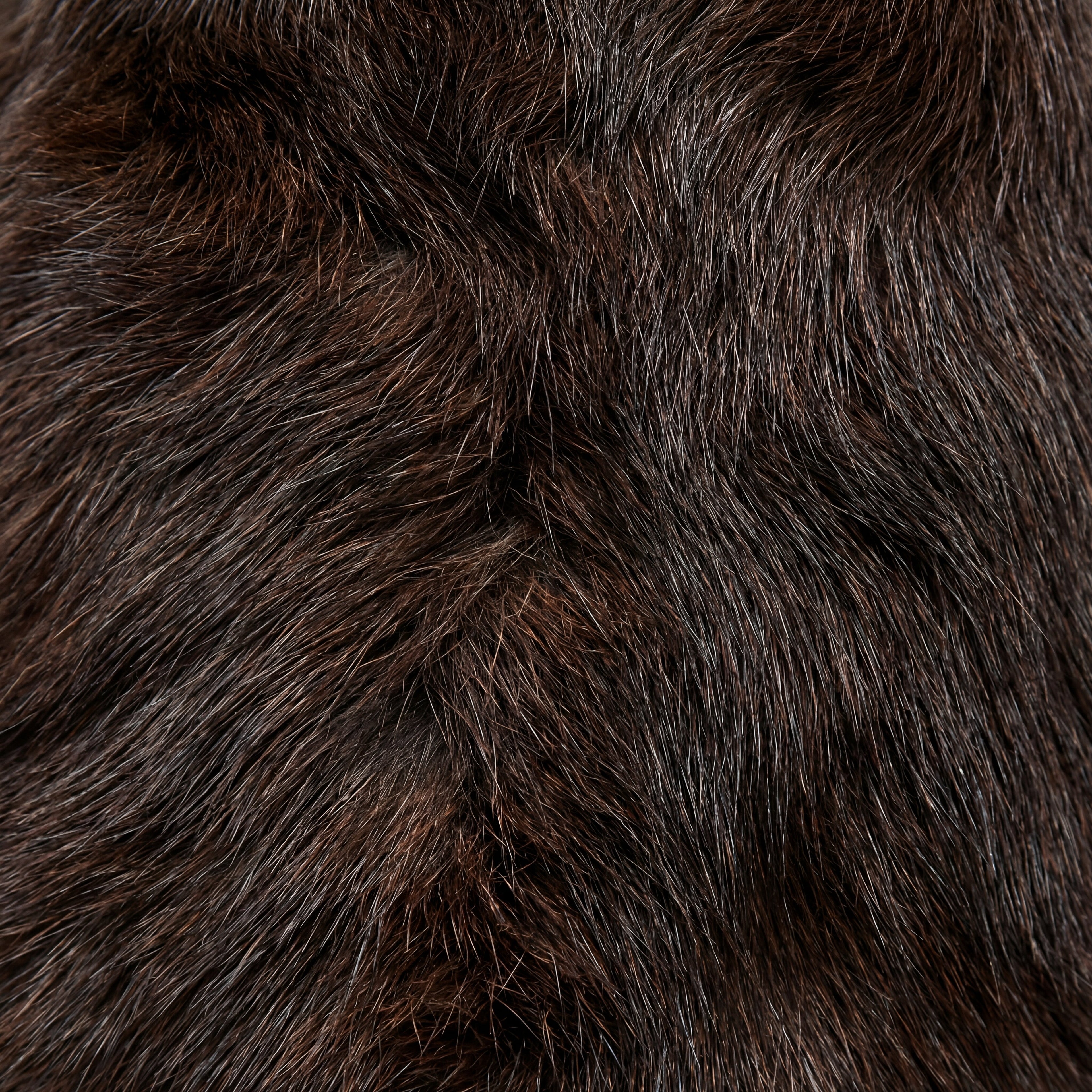 Otter Fur