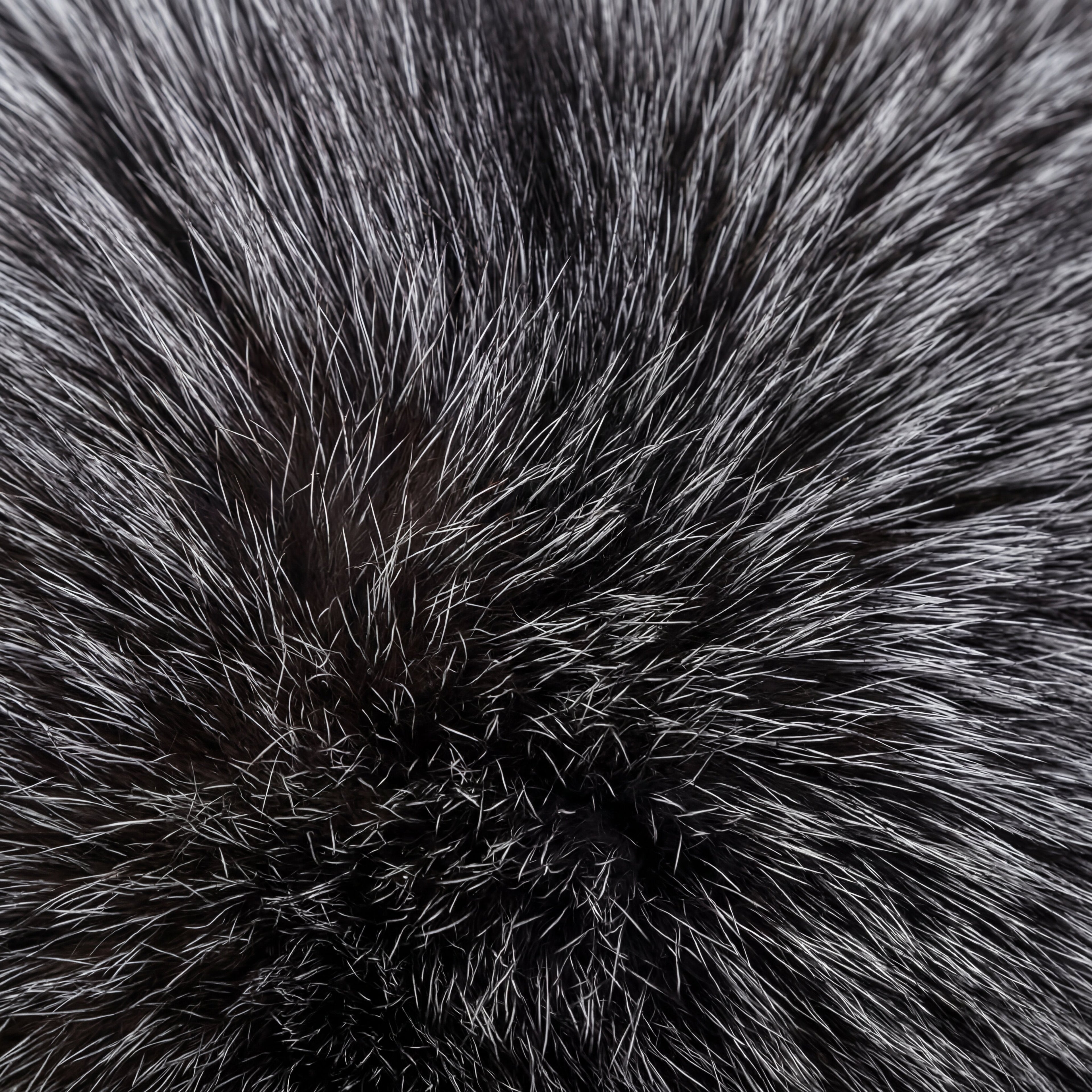 Silver Fox Fur