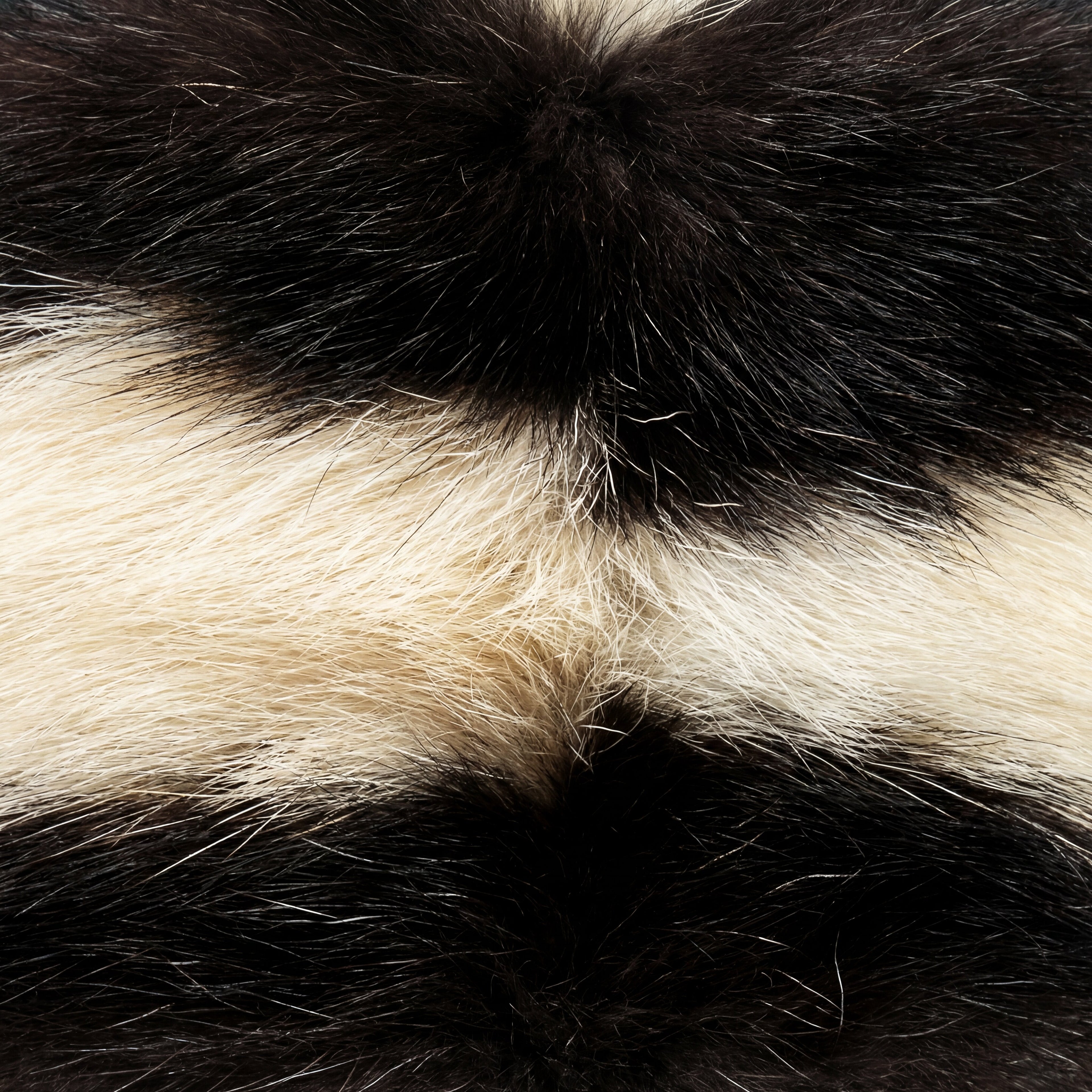 Skunk Fur