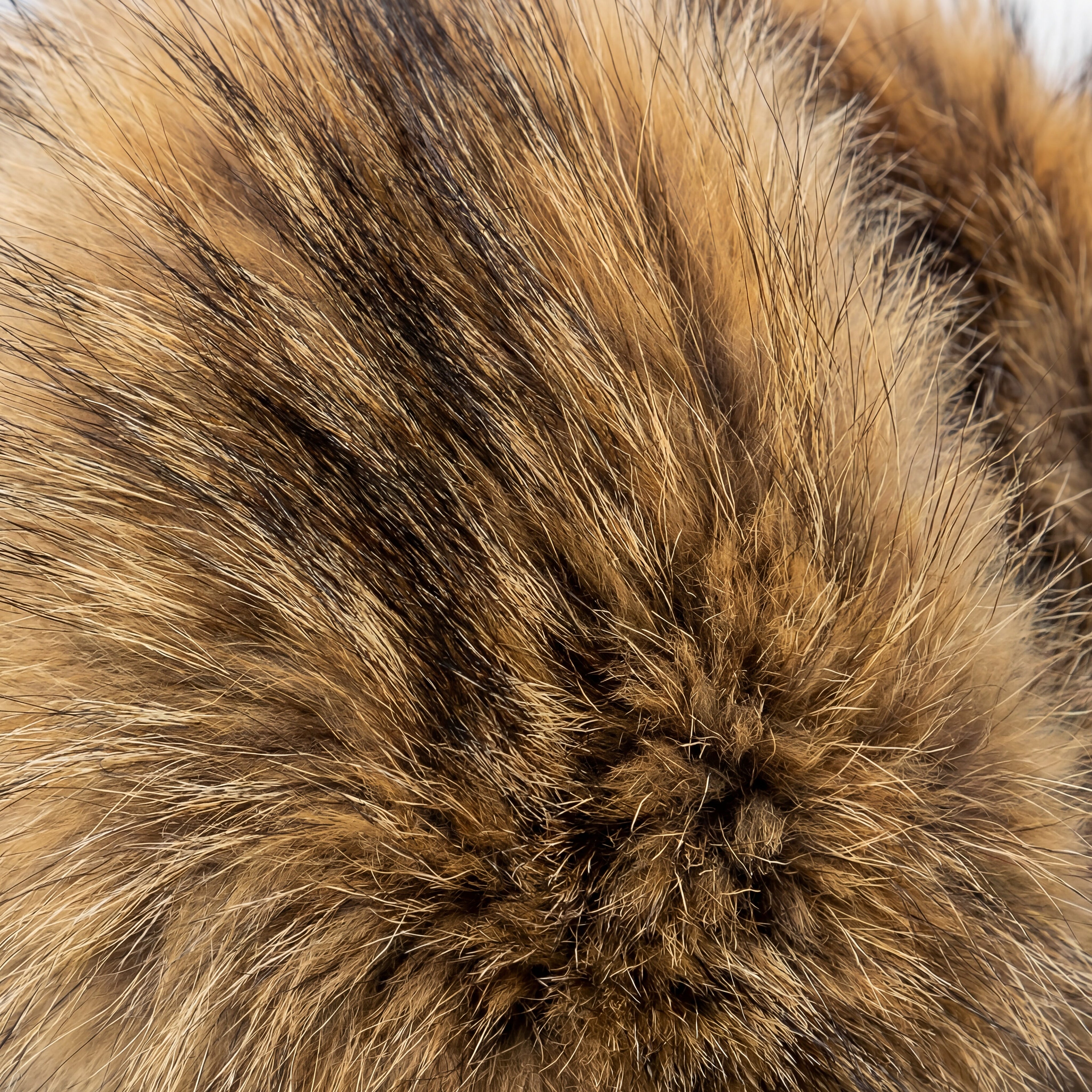 badger fur