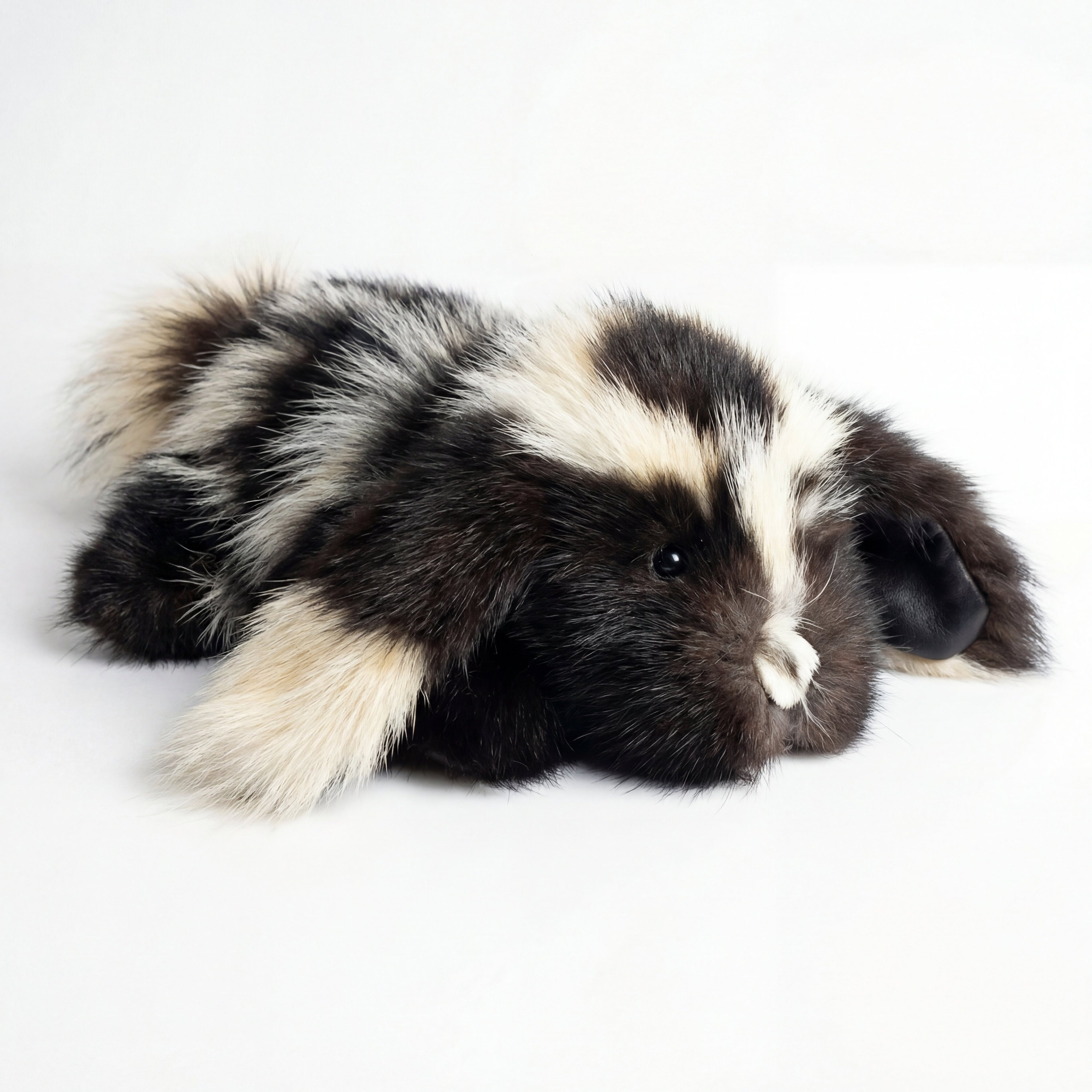 Northern Classics Skunk Fur Hound Puppy