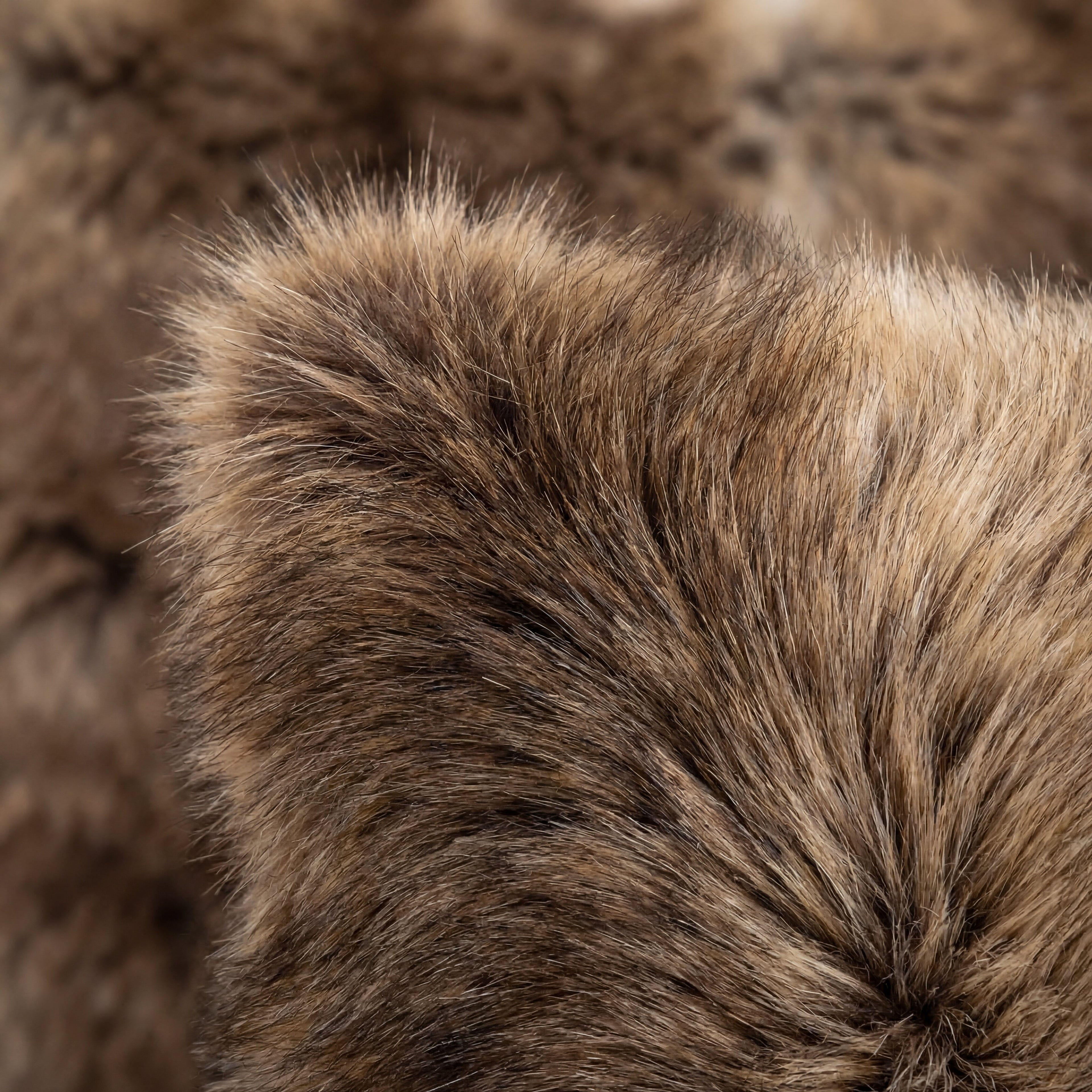 raccoon fur