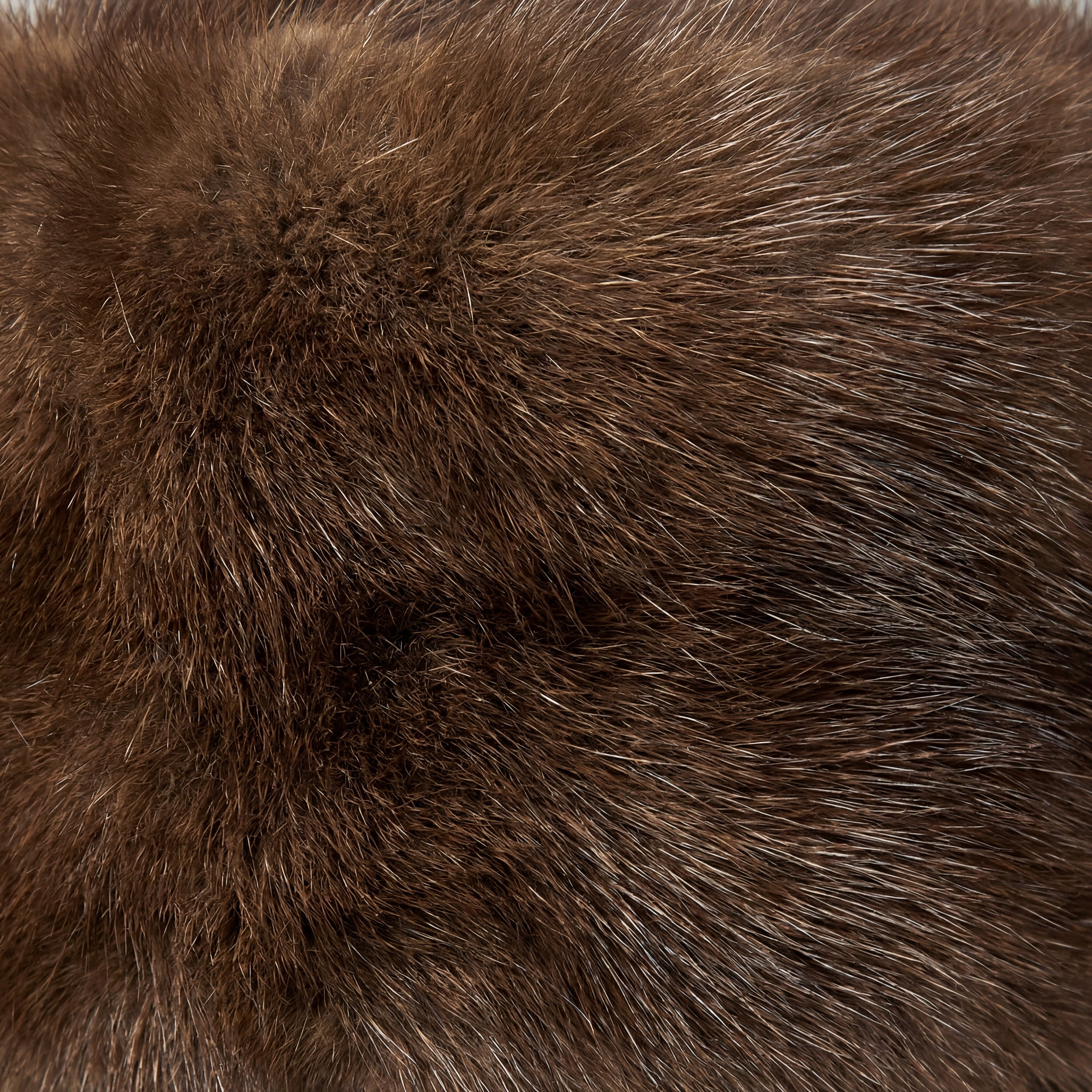 wild mink fur