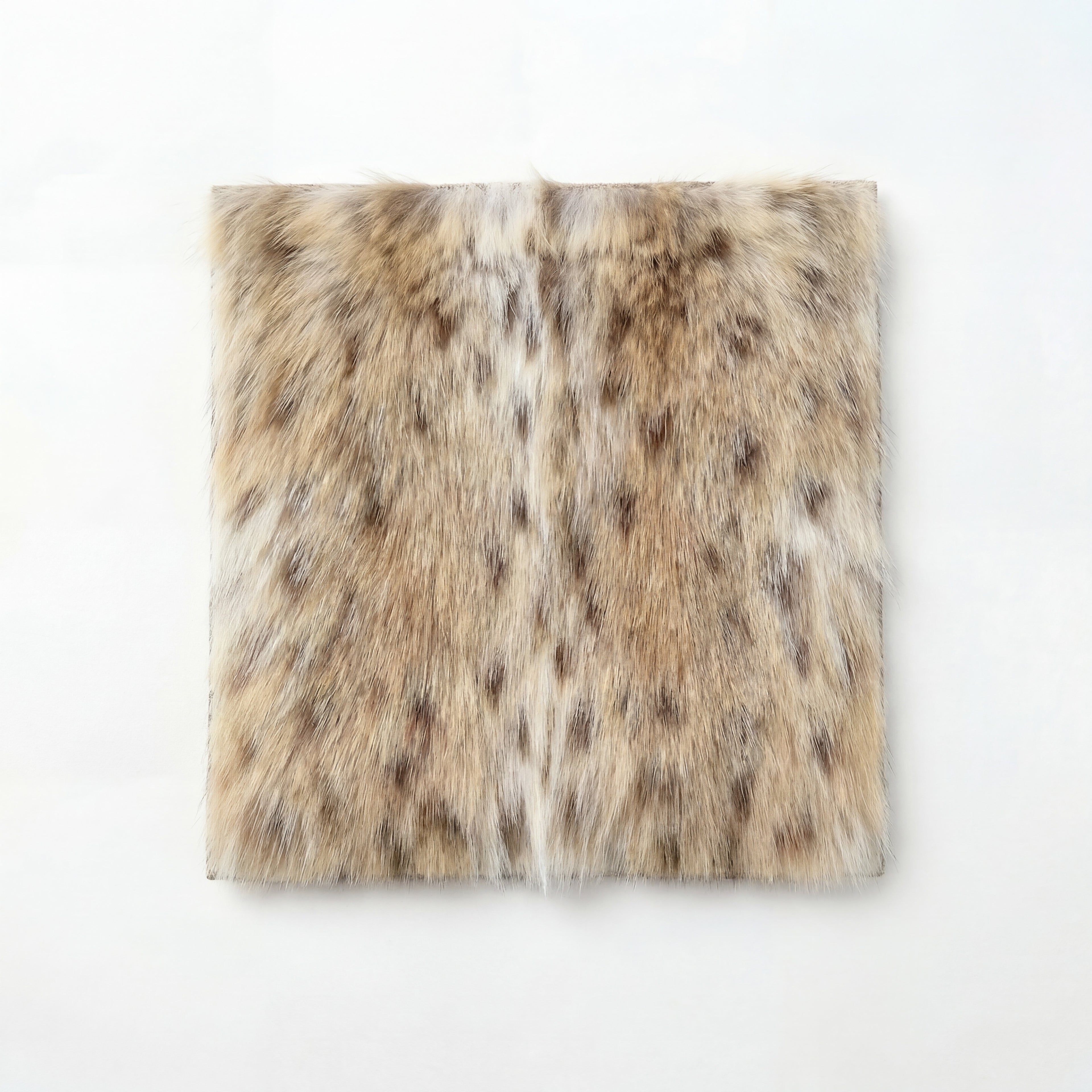 Bobcat Fur Sample Swatch